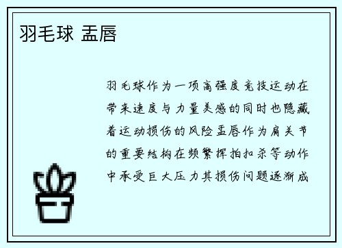 羽毛球 盂唇